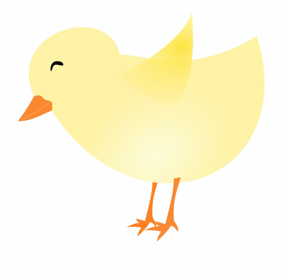 Chicken Baby Chick Easter Png Image Baby Chicks