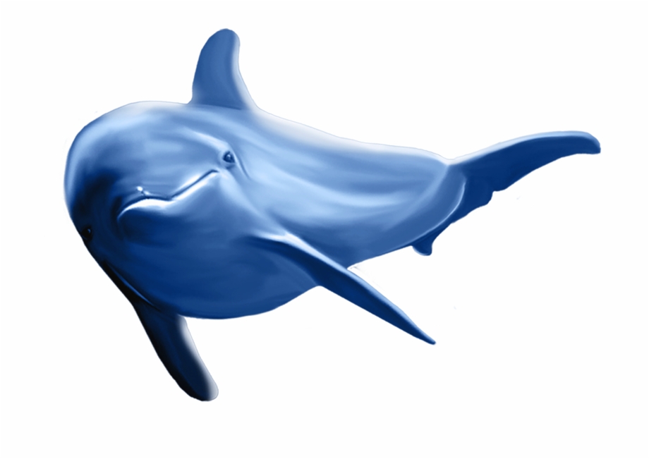 Dolphin Png Clip Art Image Whale Fish Png
