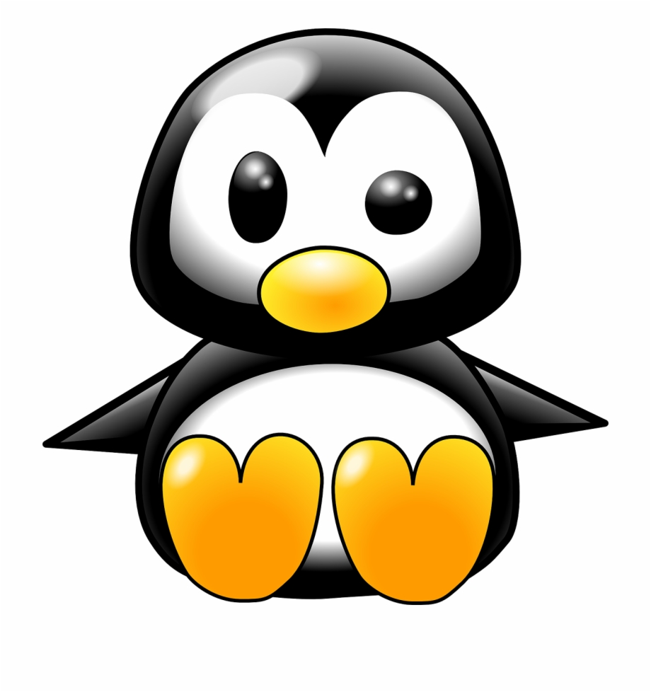Penguin Penguin Chick Png Image Clip Art Animals