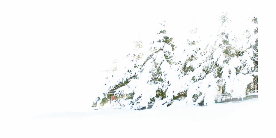 Snow Png Hd Transparent Background Snow