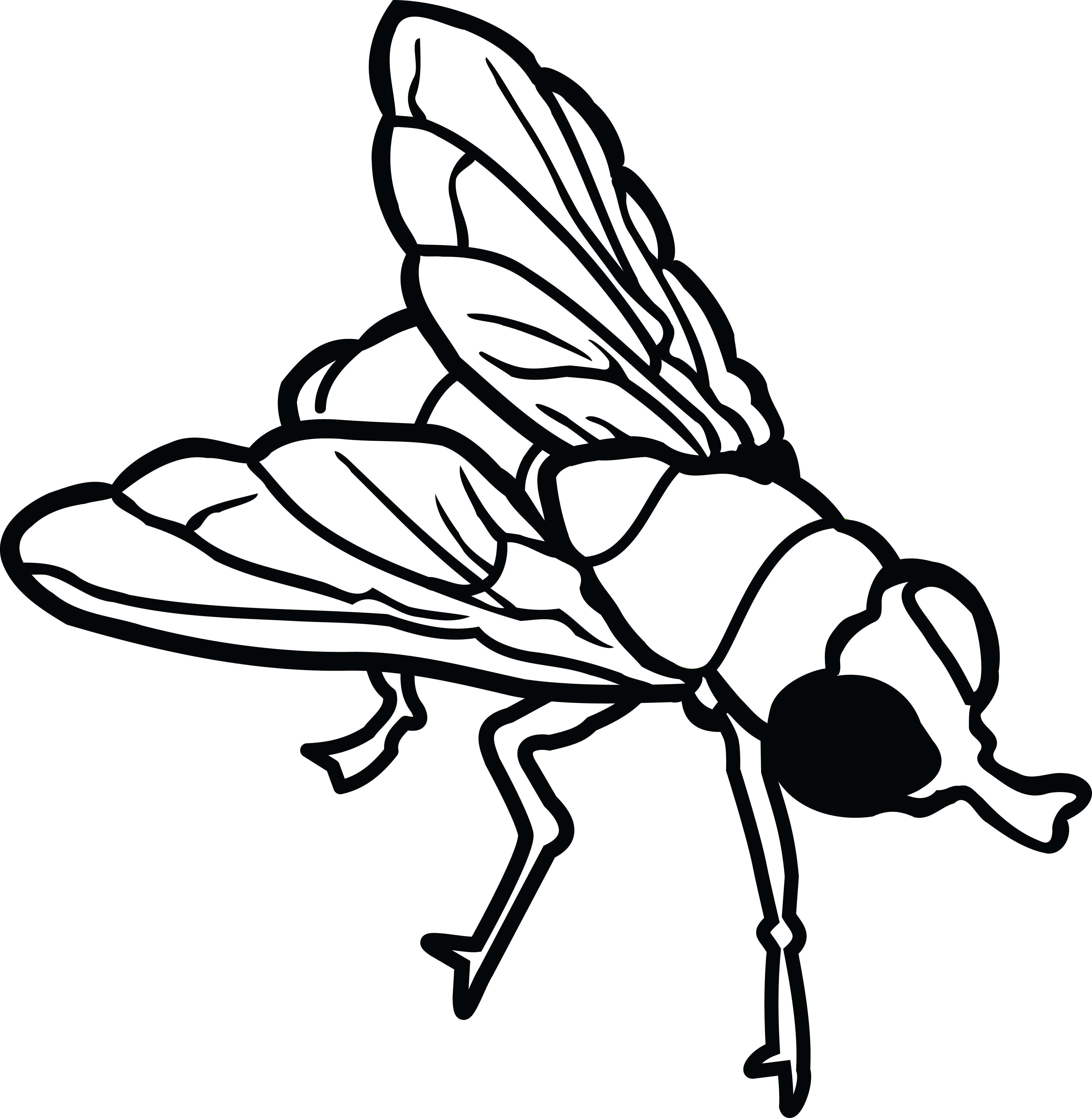 Free Clipart Of A Fly Fly Clipart Black