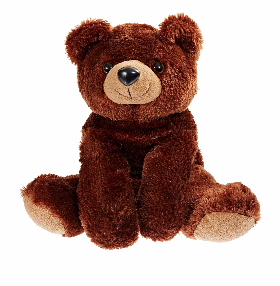 Brown Bear 16 Inch Plush Teddy Bear
