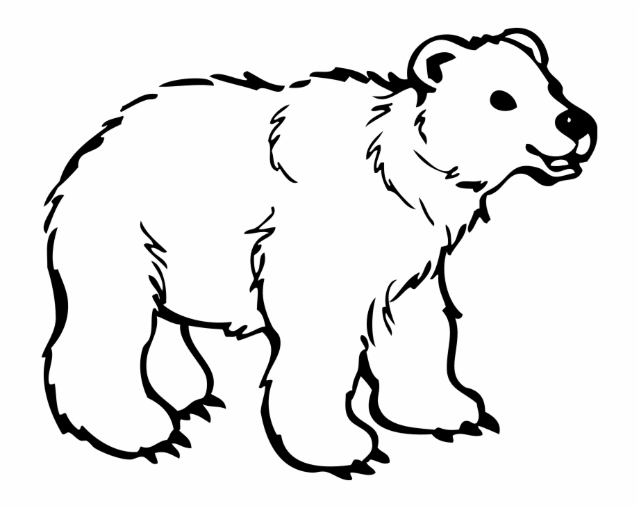 paper airplane clipart black and white bear