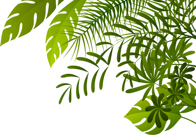 Jungle Png Image Jungle Leaves Borders Png