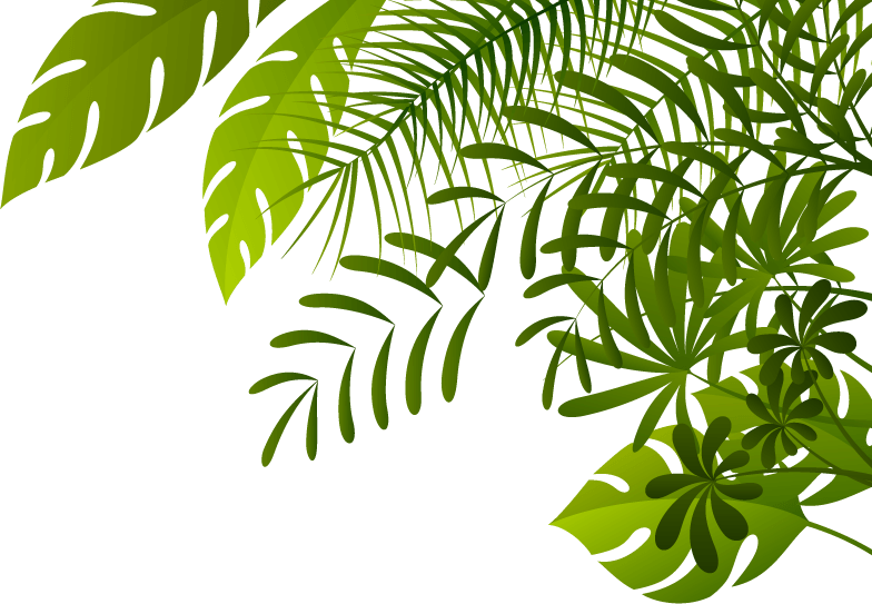 Free Jungle Border Png, Download Free Jungle Border Png png images