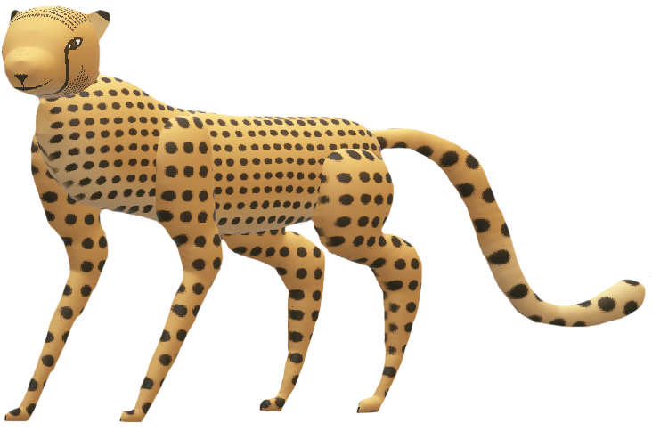 South African Cheetah Cheetah