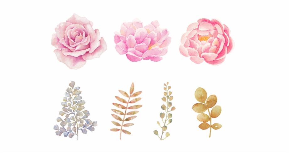 Watercolor Flower Png Transparent Background Watercolor Flowers Png