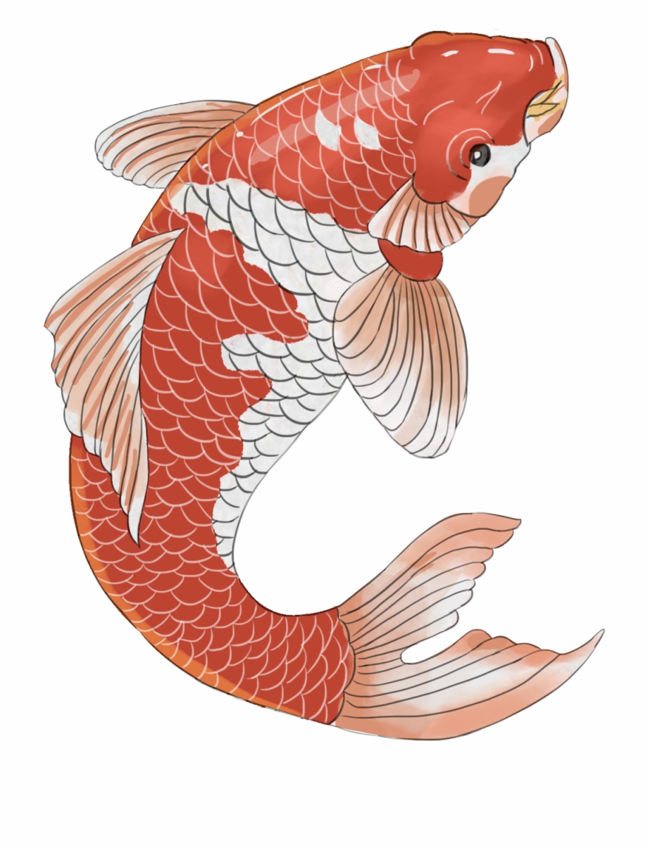 Chinese Style Hand Painted Festive Koi Png And