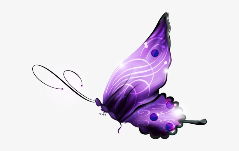 Butterfly Png 3D Images