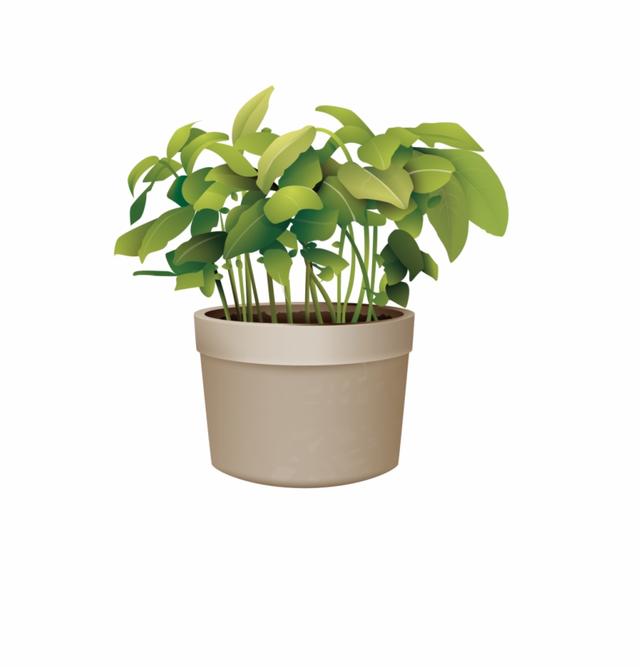 Pictures Of Potted Plants Best Of Flowerpot Plant