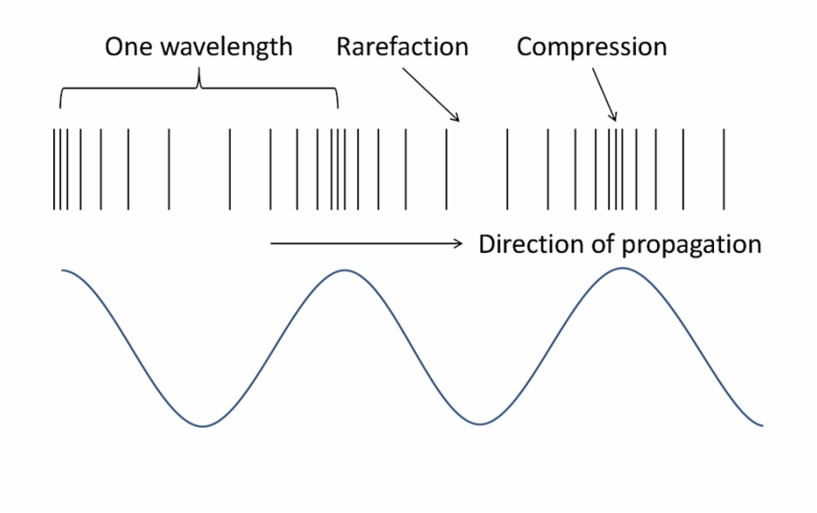 Anatomy Of A Soundwave Anatomy Of A Sound