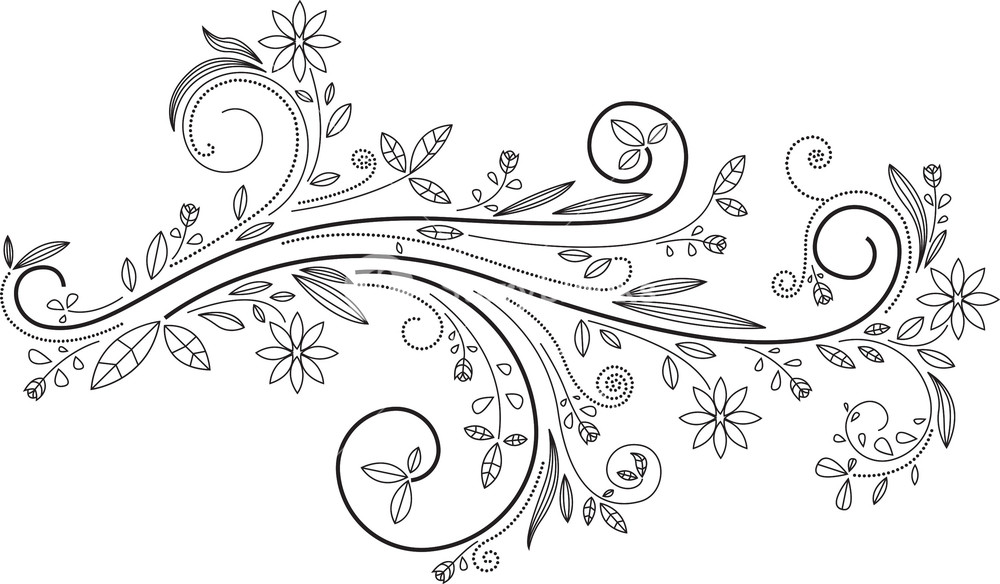 white floral vector png
