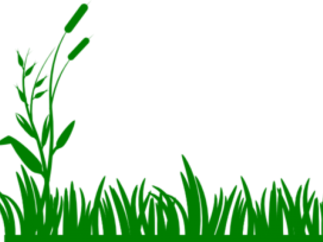 Lawn Clipart Banner Grass Black And White Clipart