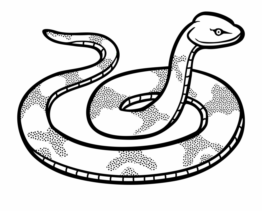 outline snake clip art
