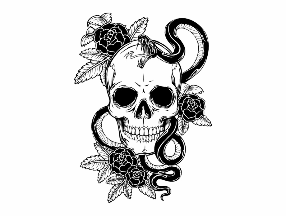 skull with snake and roses
