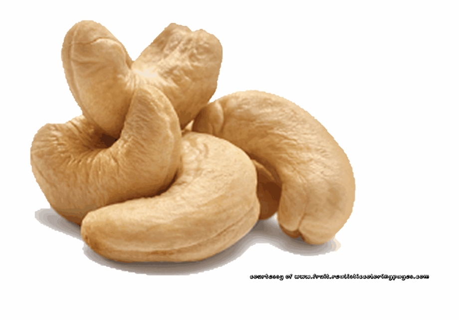 Cashew Nut Illustrations Pictures Cashew Nut Png