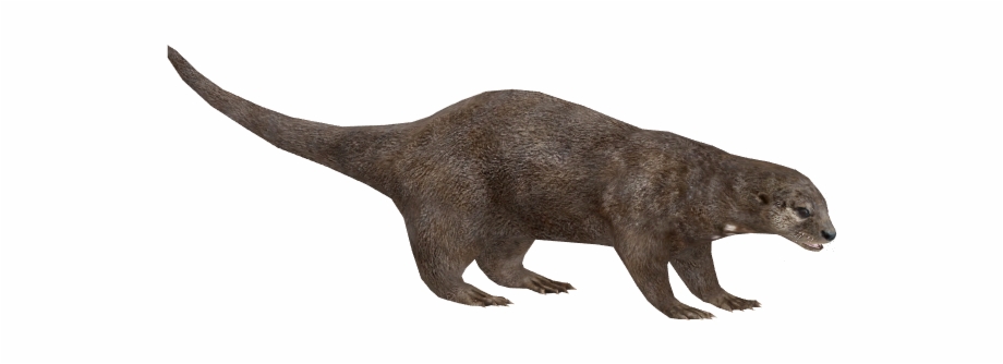 Otter Png Pic Zoo Tycoon 2 Otter