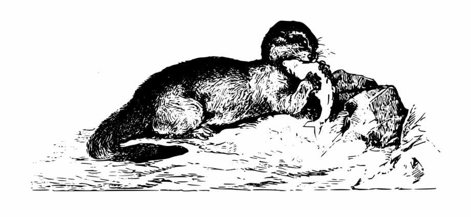 Sea Otter Computer Icons Data Drinks Illustration