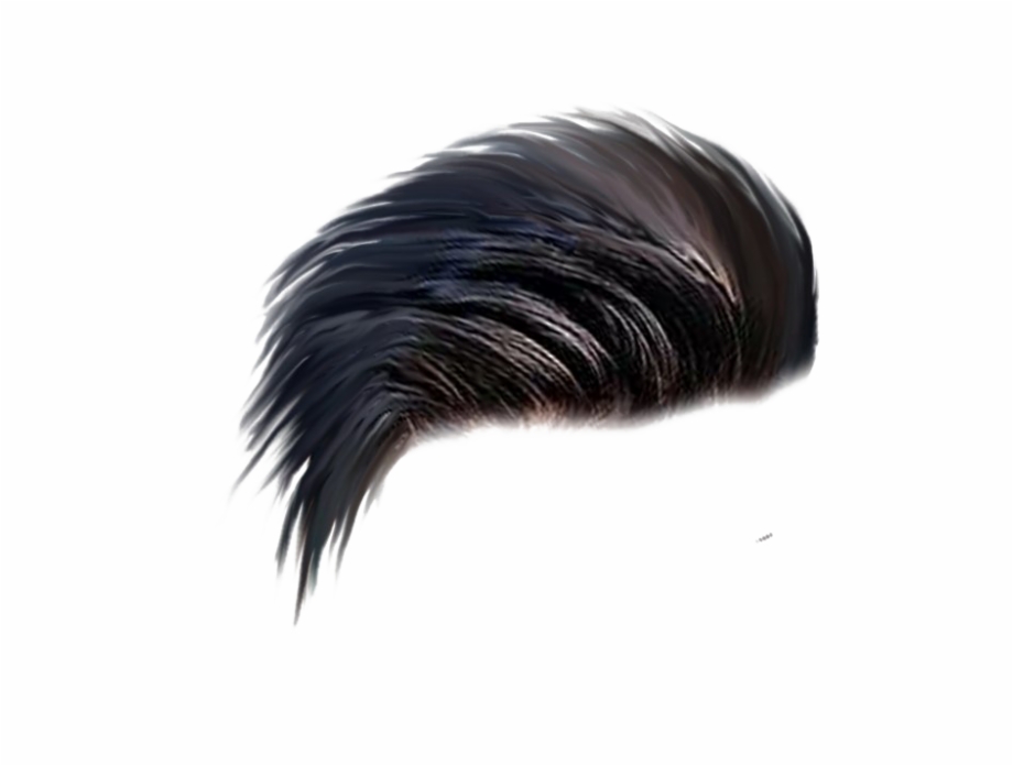 Free Hair Png Images Download Free Clip Art Free Clip Art On