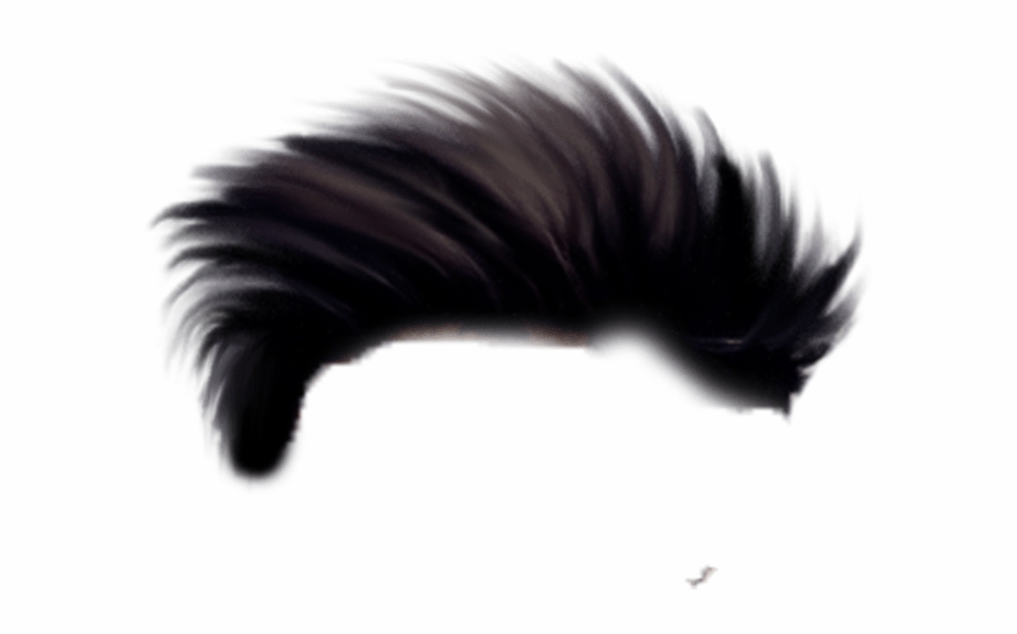 Free Hair Png Images, Download Free Hair Png Images png images, Free  ClipArts on Clipart Library