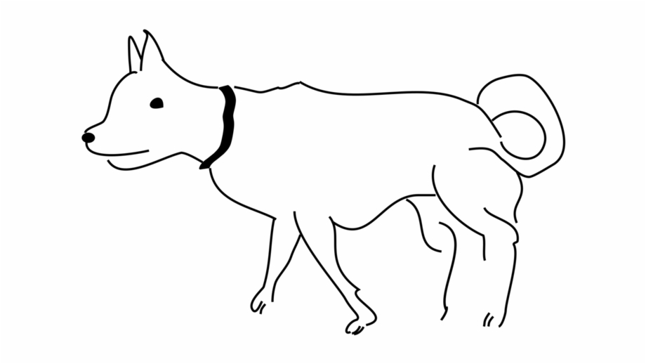 Dog Breed Border Collie Line Art Chihuahua Boxer