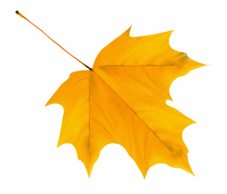 Download Yellow Autumn Leaf Clipart Png Photo Autumn