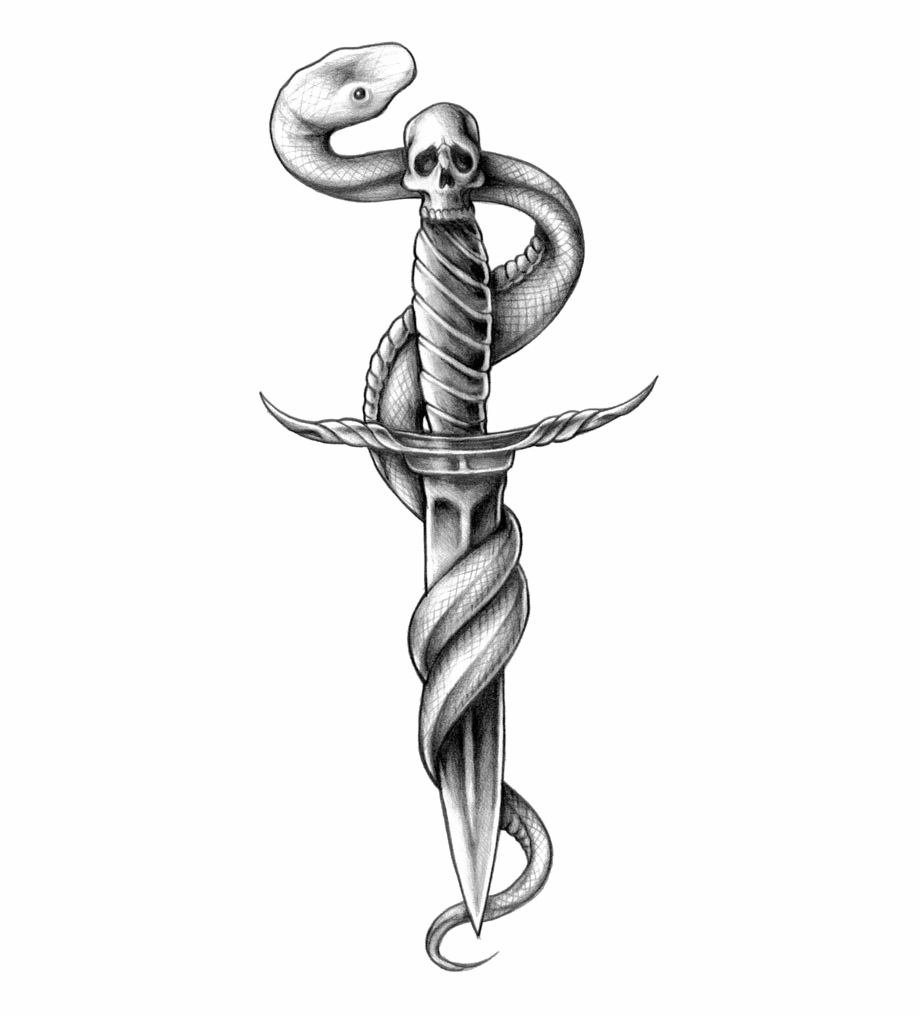 Snake Tattoo Png Photo Snake Dagger And Rose