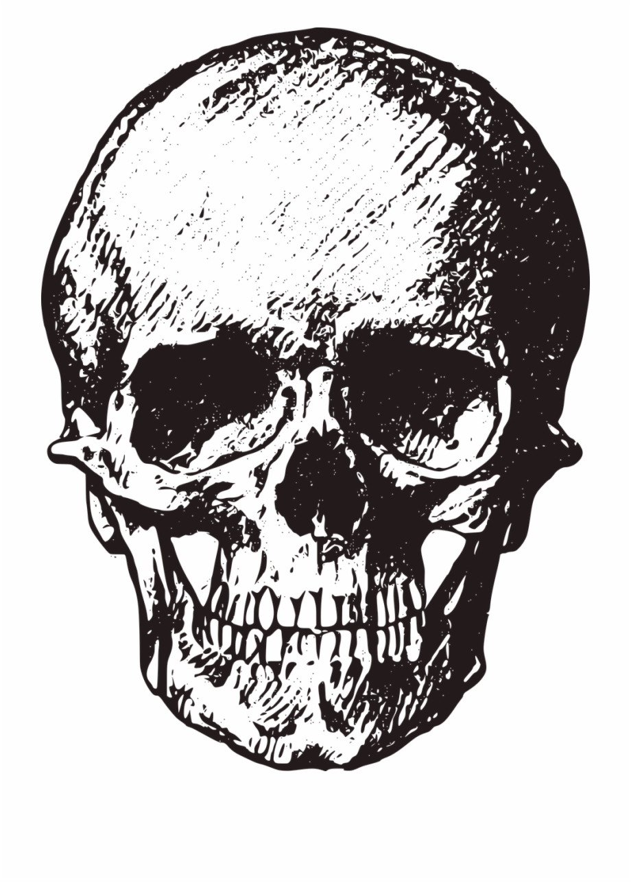 Skull Vintage Old Horror Png Image Vintage Skull