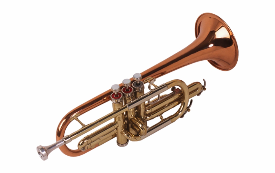 tuba trombone brass instruments
