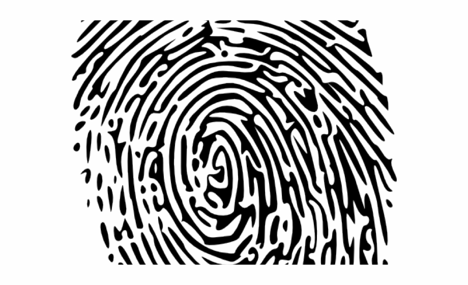 Fingerprint Clipart Transparent Background Fingerprinting Services