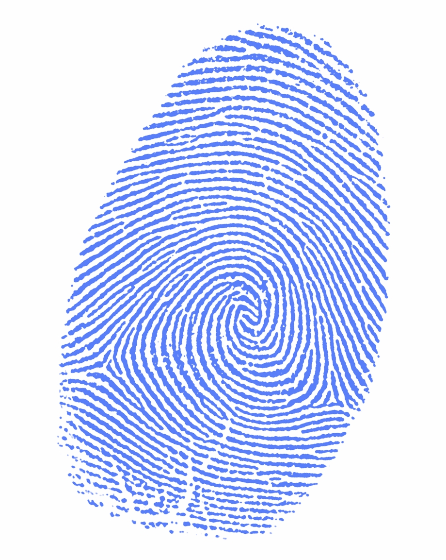 Fingerprint Png Download Finger Print Fibonacci