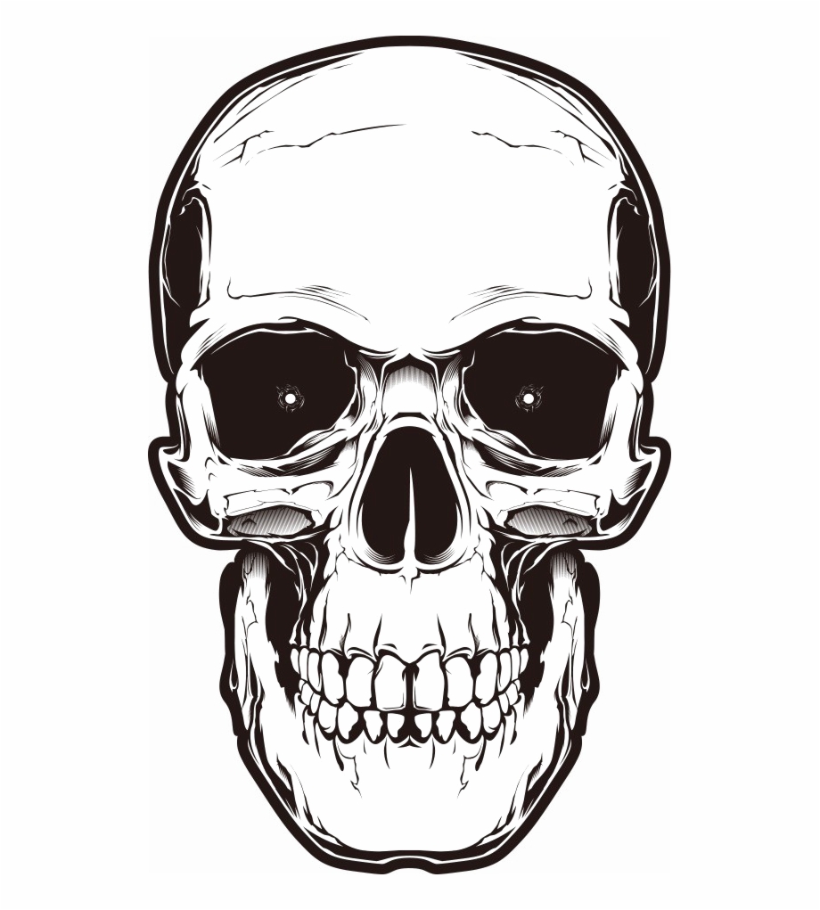 Bone Skull Png Image Background Skull Head Drawing