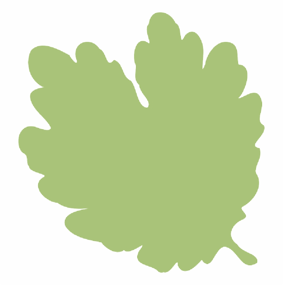 Green Leaf Silhouette