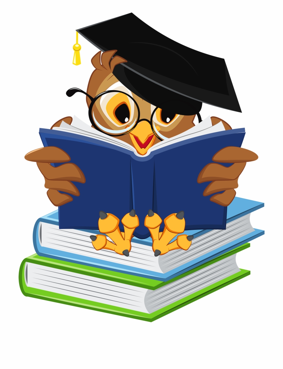 Owl With School Books Png Picture Pergamano Owl