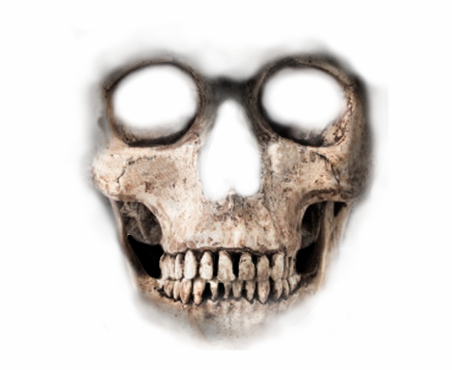 Action Png Files Skull 2 Skull Transparent Background