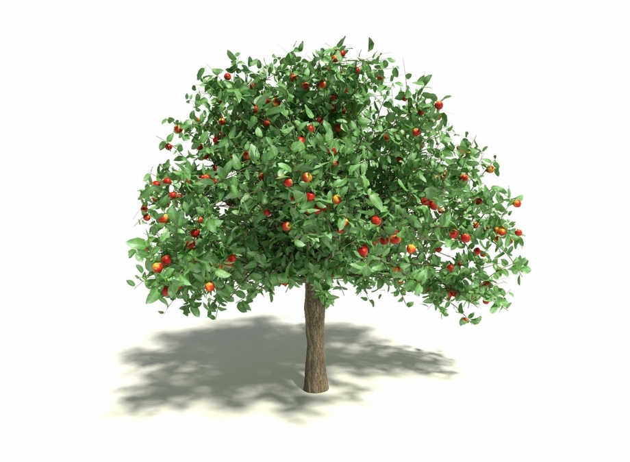 Download Icon Apple Tree 3D Model