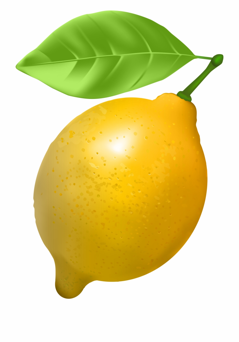 Transparent Png Clip Art Gallery Yopriceville High Lemon