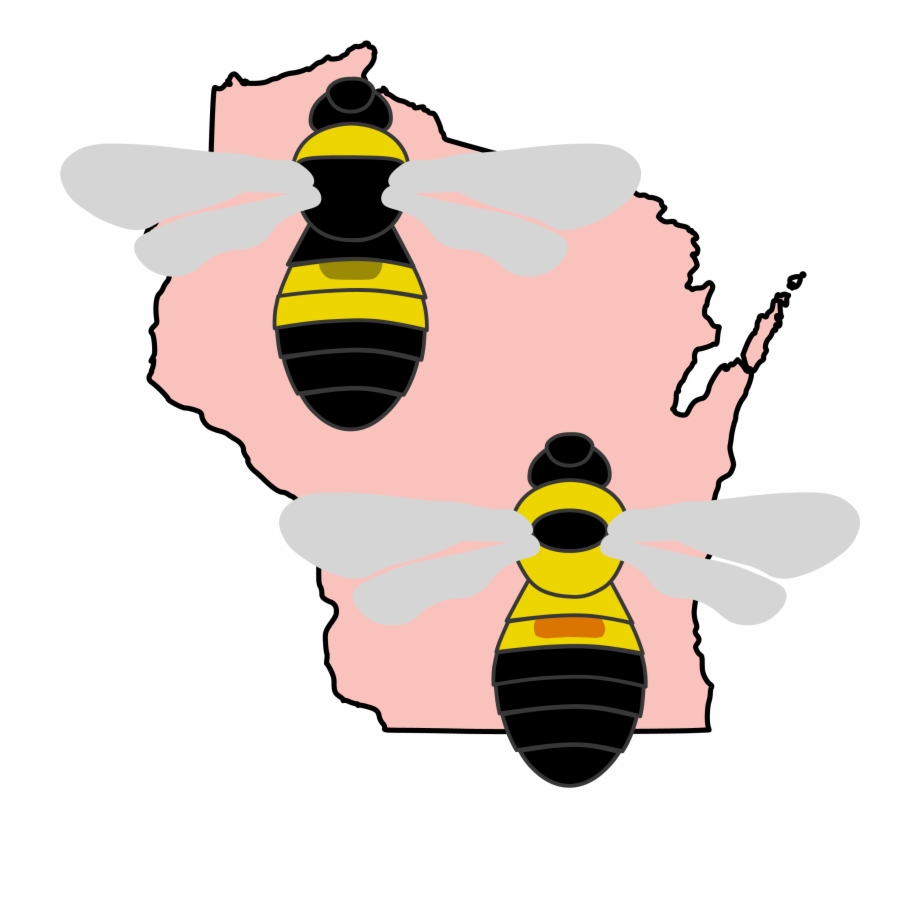 bumble bee types in wisconsin
