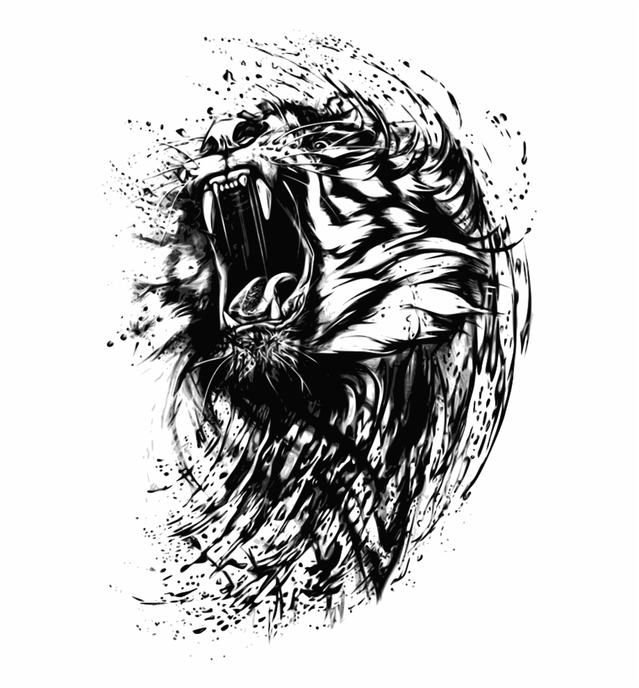 Tiger Angry Tiger Drawing