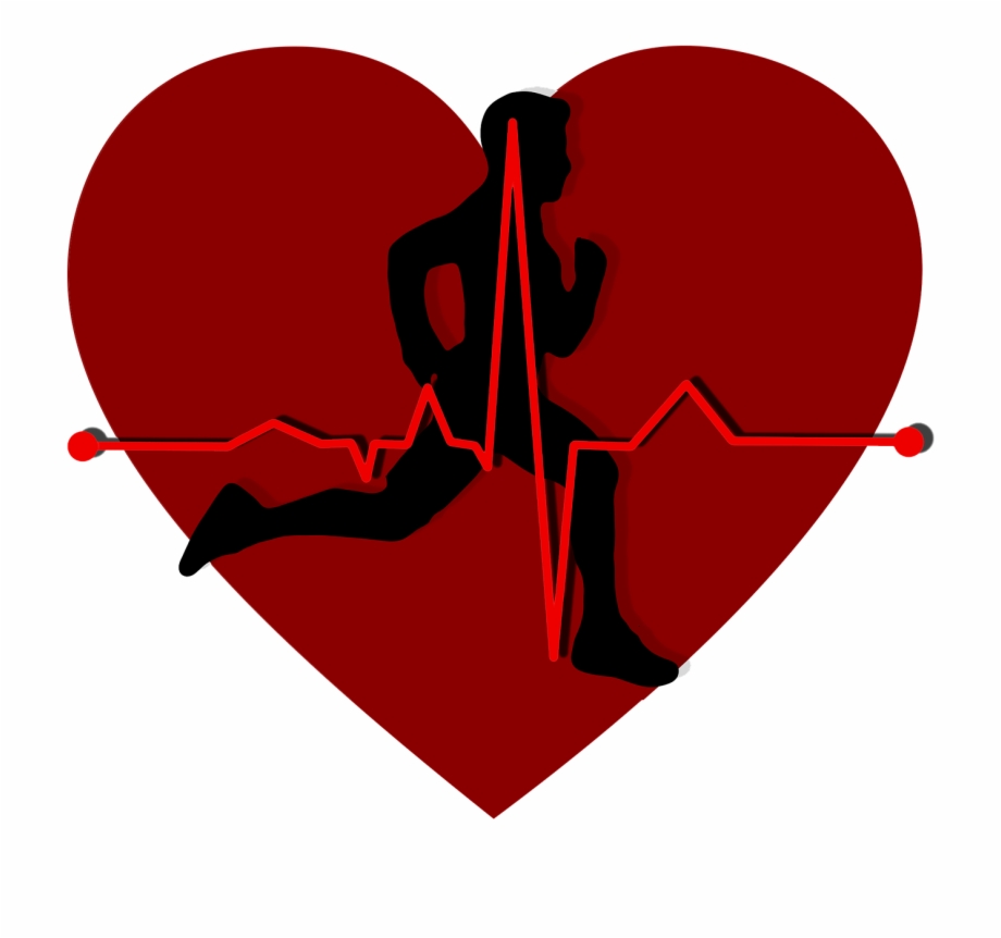 Heart Rate Corazon Con Ritmo Cardiaco