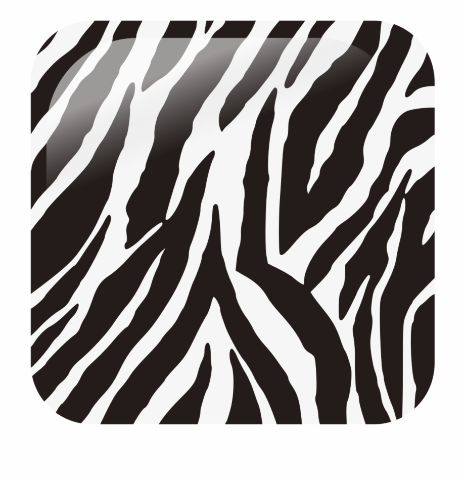 Zebra Stripe Zebra Print
