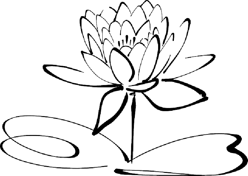 lotus flower clipart black and white
