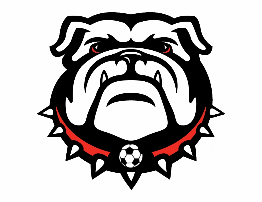 Yale Bulldog Logos Clip Art New Georgia Bulldog