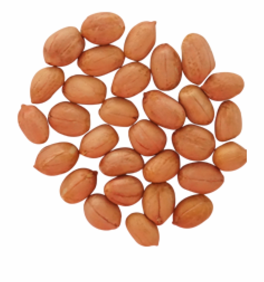 Peanut Png Almond