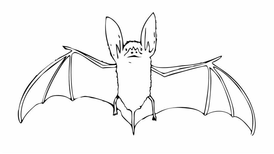 bat png cartoon black and white
