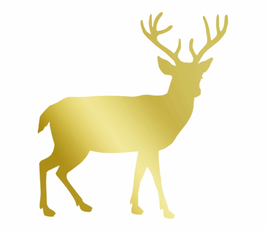 Reindeer Images Pixabay Download Free Pictures Gold Deer