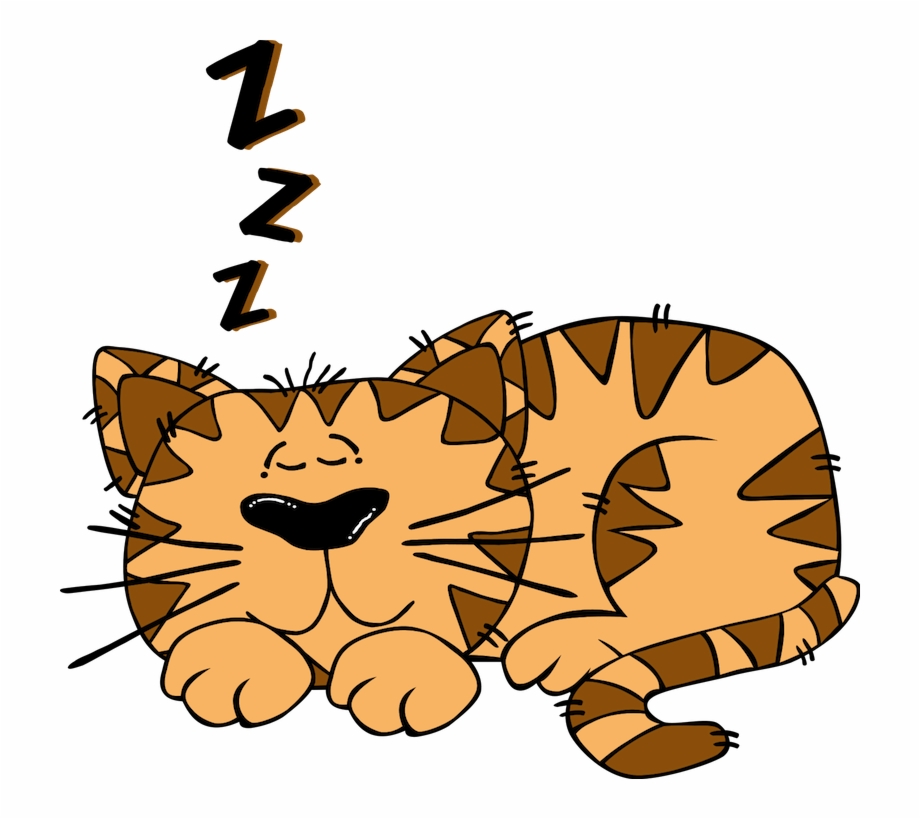 Cat Cartoon Best Animals Cat Sleeping Clipart
