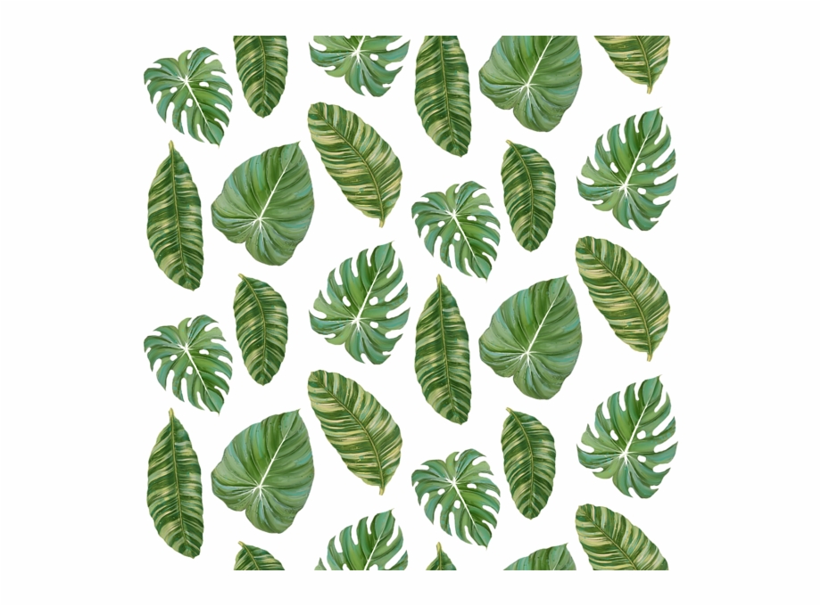 Banana Leaves Png - Free Template PPT Premium Download 2020