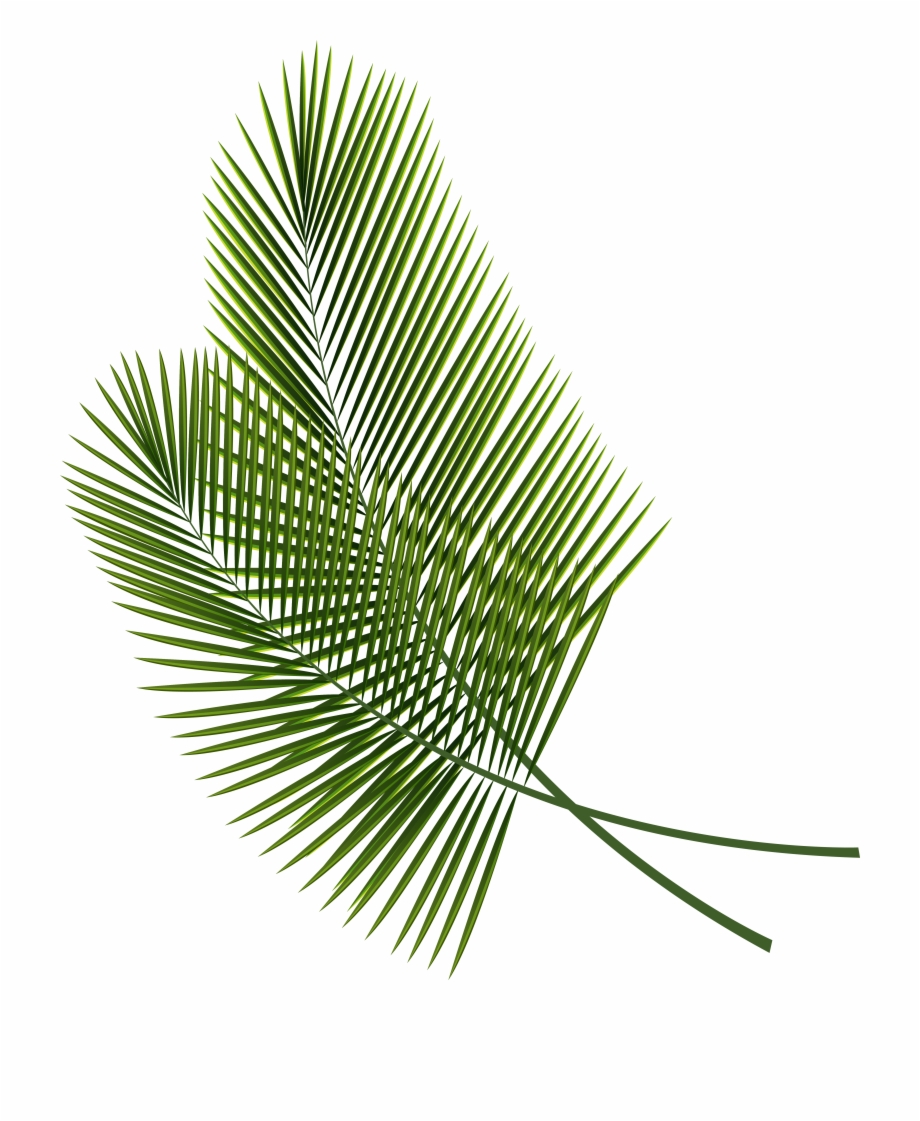 Clip Art Tropical Leaves Png Image Tropical