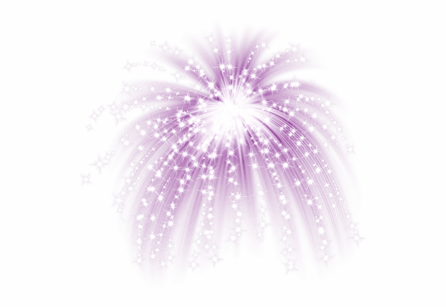 Purple Fireworks Purple Fireworks White Background